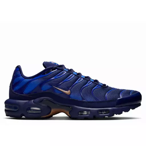 Nike Air Max Plus French Football Federation