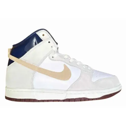 Nike SB Dunk High Pro Beyond