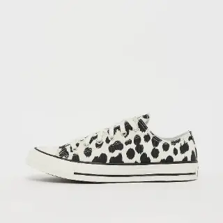 Converse Chuck Taylor All Star (GS) Wit