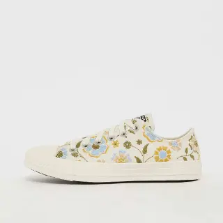 Converse Chuck Taylor All Star Multicolor