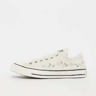 Converse Chuck Taylor All Star Vintage Wit