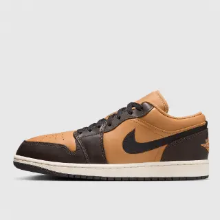 Jordan Air Jordan 1 Low SE Multicolor