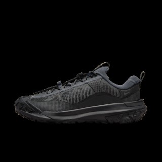 Nike ACG Mountain Fly 2 Low GORE-TEX herenschoenen - Grijs