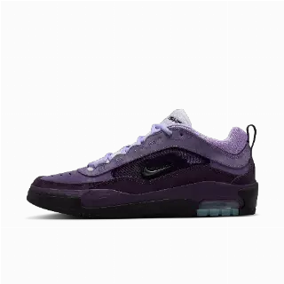 Nike Air Max Ishod skateschoenen - Paars