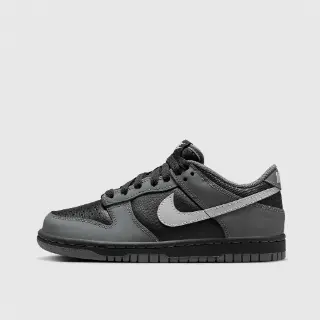 Nike Dunk Low (GS) Grijs