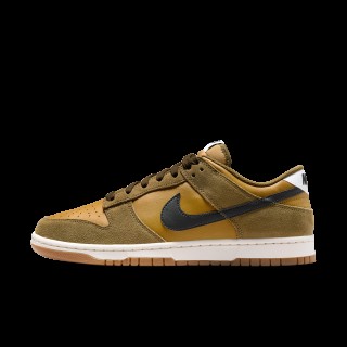 Nike Dunk Low Retro SE herenschoenen - Bruin