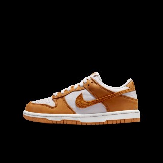 Nike Dunk Low SE Kinderschoenen - Grijs
