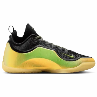 Nike LeBron Sneakers Heren - Zwart