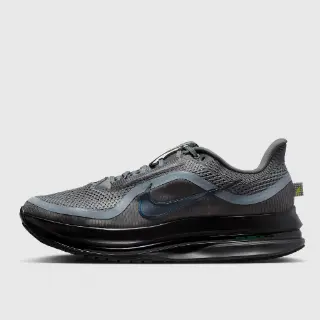 Nike Nike Pegasus Premium Grijs