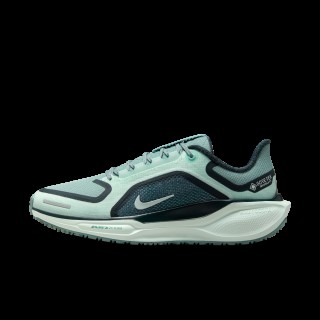 Nike Pegasus 41 GORE-TEX waterdichte hardloopschoenen voor dames (straat) - Groen