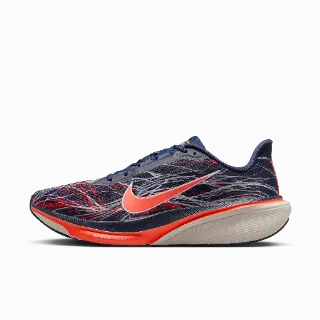 Nike Pegasus 42 hardloopschoenen voor heren (straat) - Blauw