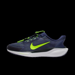 Nike Pegasus EasyOn hardloopschoenen voor heren (straat) - Paars