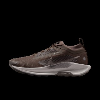 Nike Pegasus Trail 5 GORE-TEX waterdichte trailrunningschoenen voor dames - Bruin