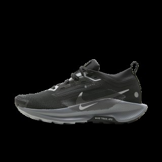 Nike Pegasus Trail 5 GORE-TEX waterdichte trailrunningschoenen voor dames - Zwart