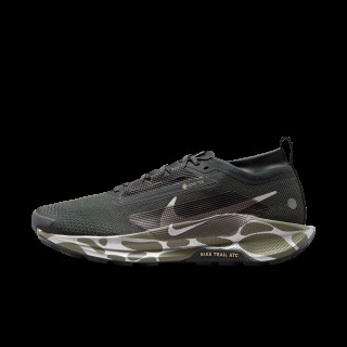 Nike Pegasus Trail 5 GORE-TEX waterdichte trailrunningschoenen voor heren - Grijs