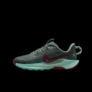 Nike Pegasus Trail 5 trailrunningschoenen voor kids - Grijs