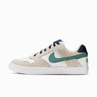 Nike SB Delta Force Vulc Skateschoenen voor heren - Wit