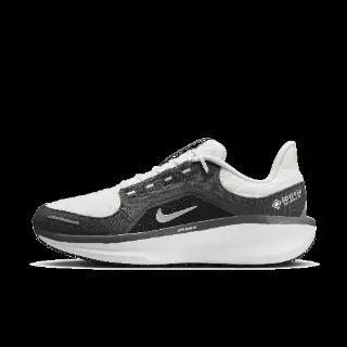 Nike Winflo 11 GORE-TEX waterdichte hardloopschoenen voor heren (straat) - Grijs