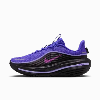 Nike Winflo 12 GORE-TEX waterdichte hardloopschoenen voor dames (straat) - Paars