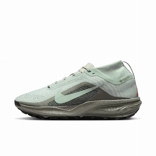ACG Pegasus Trail GORE-TEX waterdichte trailrunningschoenen voor heren - Grijs
