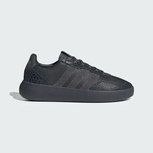BARREDA DECODE SCHOENEN