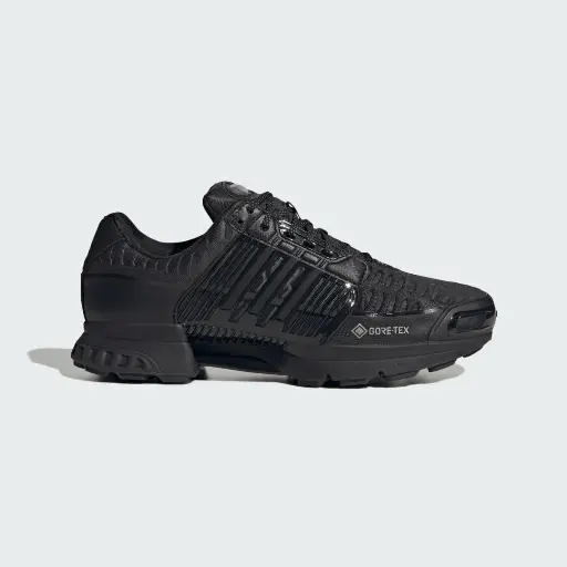 CLIMAPROOF 1 GTX SCHOENEN