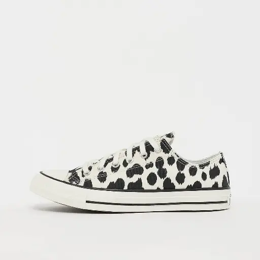 Converse Chuck Taylor All Star (GS) Wit