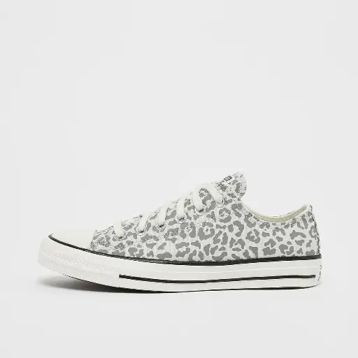 Converse Chuck Taylor All Star Multicolor