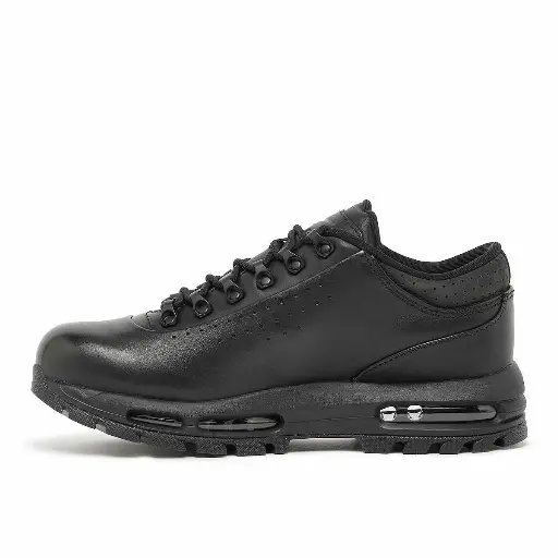 Nike Air Max Goadome Low SP Sneaker Men Black 