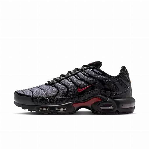 Nike Air Max Plus herenschoenen - Zwart