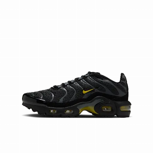 Nike Air Max Plus kinderschoenen - Grijs