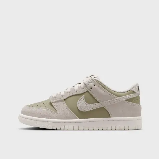 Nike Dunk Low BG (GS) Groen