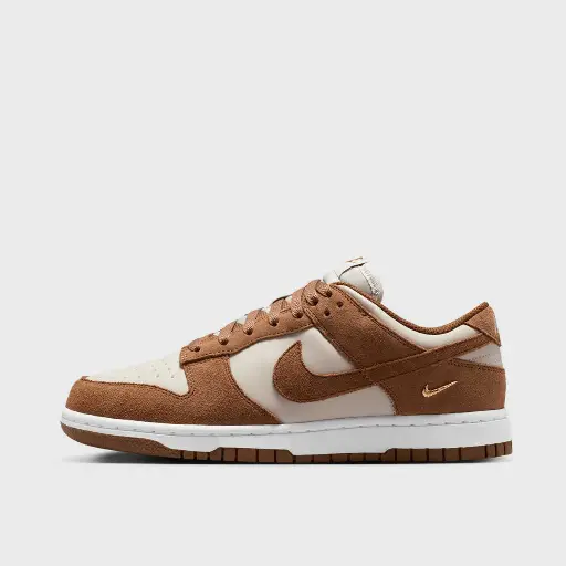 Nike Dunk Low Bruin
