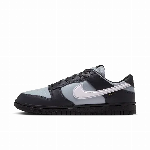 Nike Dunk Low GORE-TEX schoenen voor heren - Grijs