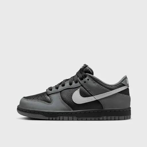 Nike Dunk Low (GS) Grijs