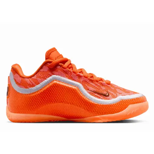 Nike LeBron 23 Shoe Bag