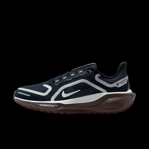 Nike Pegasus 41 GORE-TEX waterdichte hardloopschoenen voor dames (straat) - Blauw