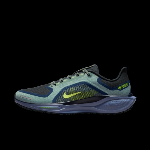 Nike Pegasus 41 GORE-TEX waterdichte hardloopschoenen voor heren (straat) - Groen