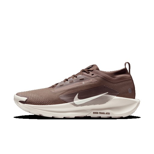 Nike Pegasus Trail 5 GORE-TEX SP waterdichte trailrunningschoenen voor heren - Bruin