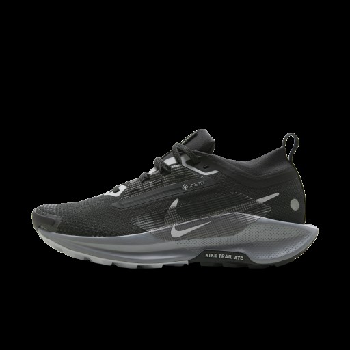 Nike Pegasus Trail 5 GORE-TEX waterdichte trailrunningschoenen voor dames - Zwart