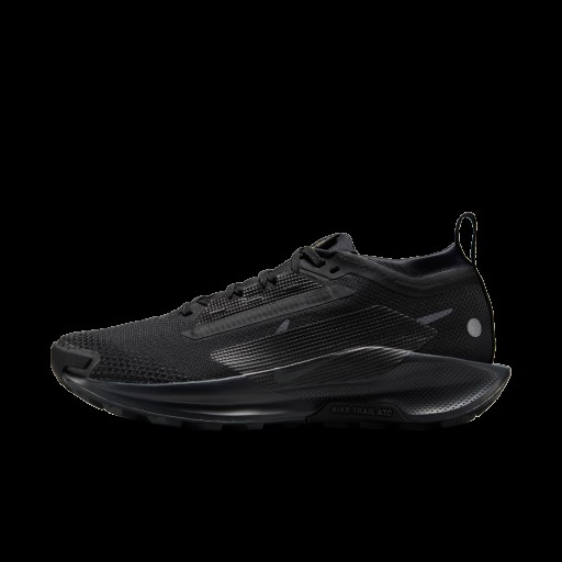 Nike Pegasus Trail 5 GORE-TEX waterdichte trailrunningschoenen voor dames - Zwart