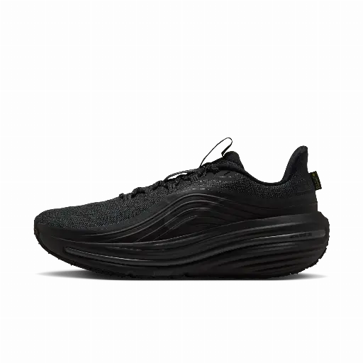 Nike Winflo 12 GORE-TEX waterdichte hardloopschoenen voor heren (straat) - Zwart