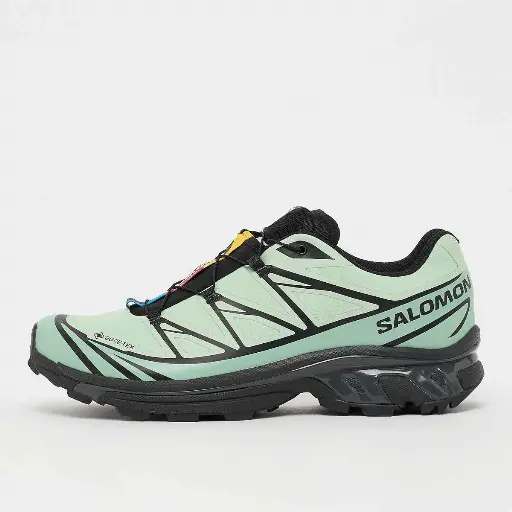 Salomon XT-6 GTX Groen