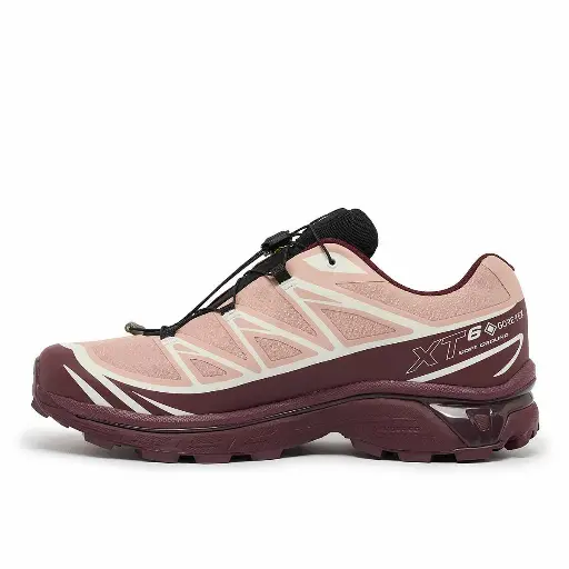 Salomon XT-6 GTX Sneaker Men Light Pink 