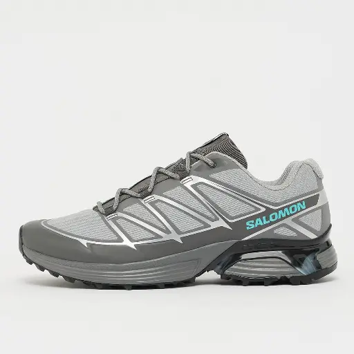 Salomon XT-Pathway Grijs